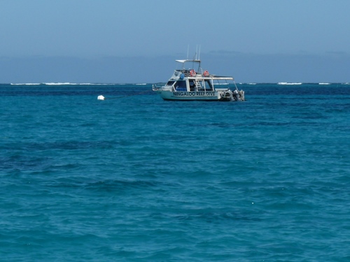 Coral Bay